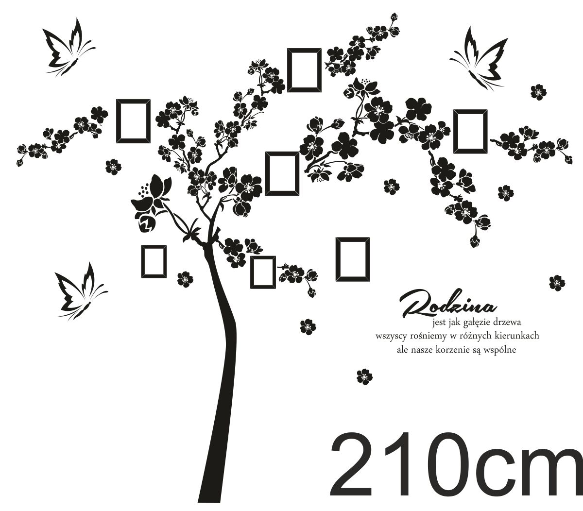 21846dae4c5aae561272e6cb0e94 NAKLEJKI ŚCIENNE DRZEWA RAMKI ZDJĘCIA, CYTAT - obrazek 1