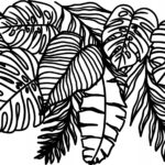 Naklejka na ścianę dekoracja Monstera Liście Tropikalne Palmy