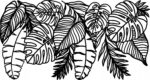 Naklejka na ścianę dekoracja Monstera Liście Tropikalne Palmy