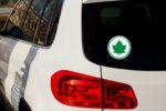 LISTEK Naklejka na samochód Liść Klonu Znak Młodego Kierowcy Napis - obrazek 4